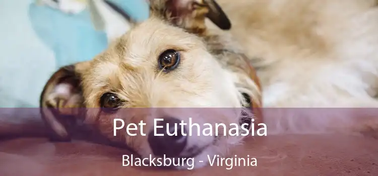 Pet Euthanasia Blacksburg - Virginia