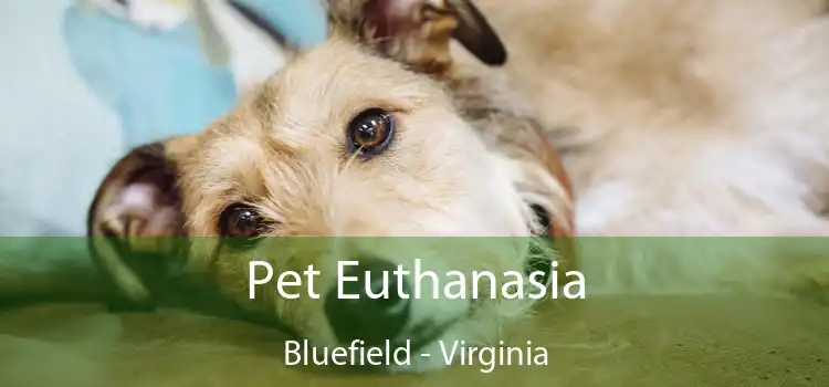 Pet Euthanasia Bluefield - Virginia