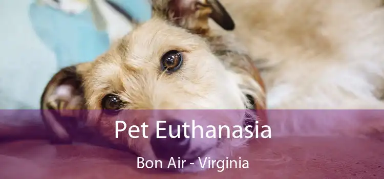 Pet Euthanasia Bon Air - Virginia