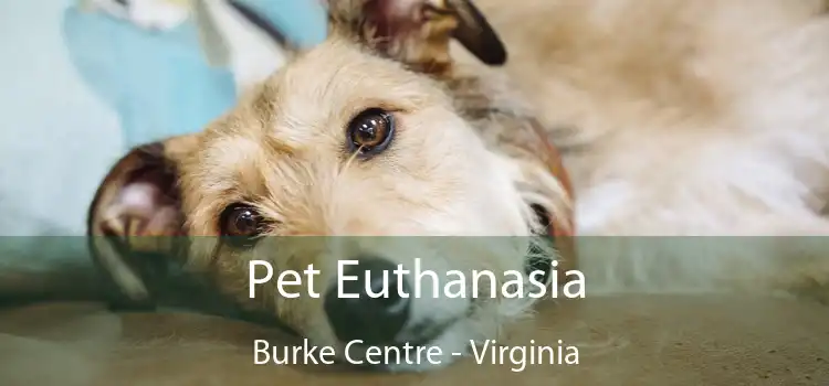 Pet Euthanasia Burke Centre - Virginia