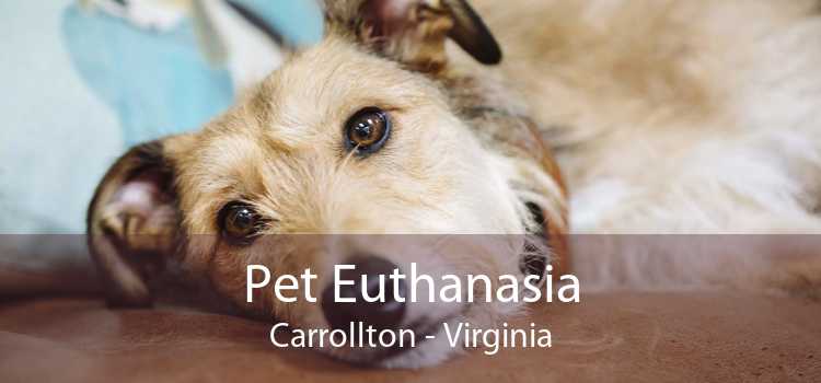 Pet Euthanasia Carrollton - Virginia