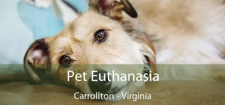 Pet Euthanasia Carrollton - Virginia