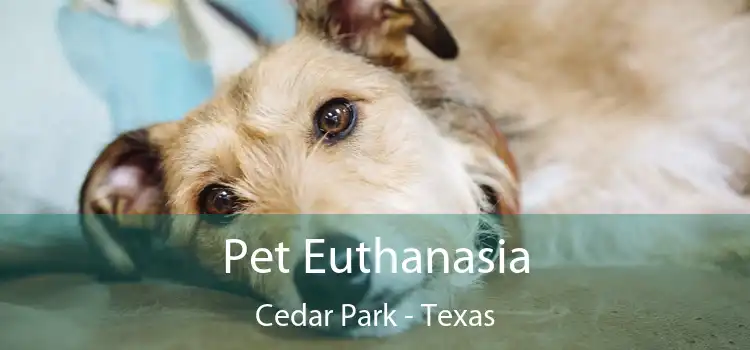 Pet Euthanasia Cedar Park - Texas