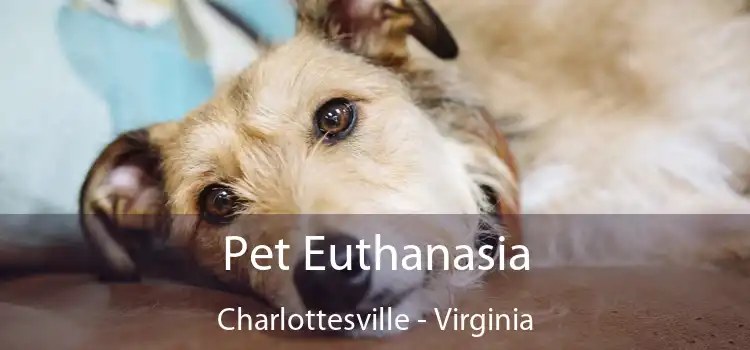 Pet Euthanasia Charlottesville - Virginia