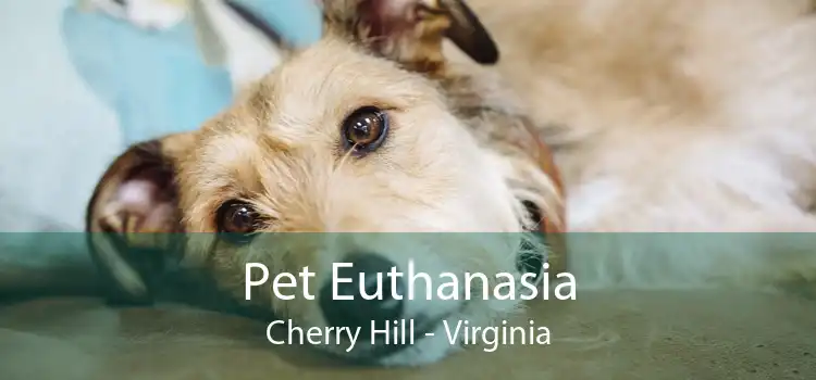 Pet Euthanasia Cherry Hill - Virginia