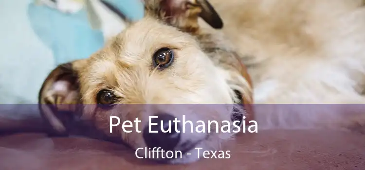 Pet Euthanasia Cliffton - Texas