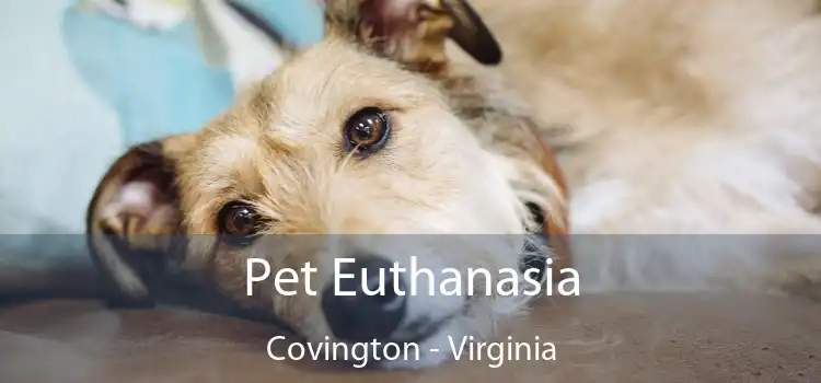 Pet Euthanasia Covington - Virginia