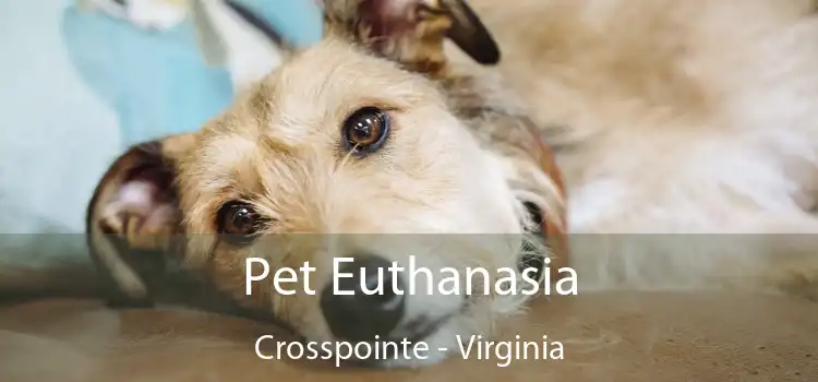 Pet Euthanasia Crosspointe - Virginia