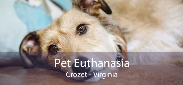 Pet Euthanasia Crozet - Virginia