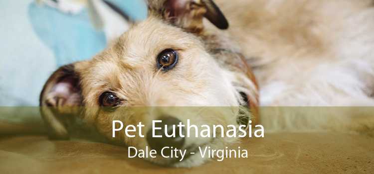 Pet Euthanasia Dale City - Virginia