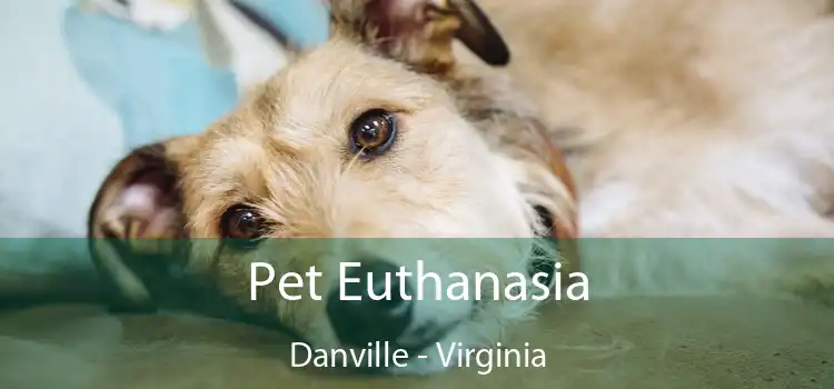 Pet Euthanasia Danville - Virginia