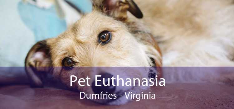 Pet Euthanasia Dumfries - Virginia