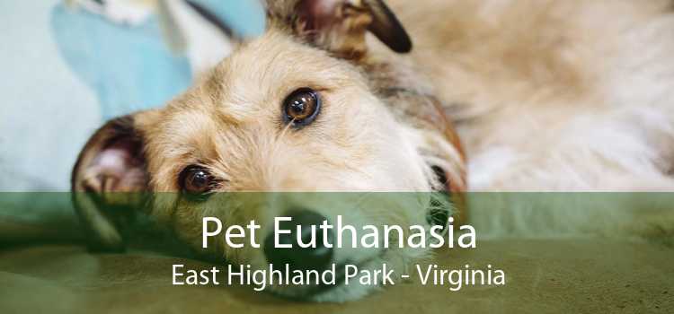 Pet Euthanasia East Highland Park - Virginia