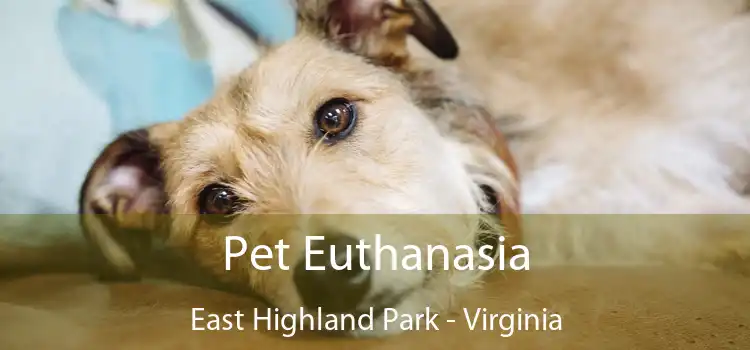 Pet Euthanasia East Highland Park - Virginia