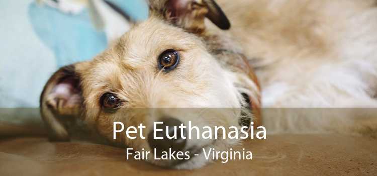 Pet Euthanasia Fair Lakes - Virginia