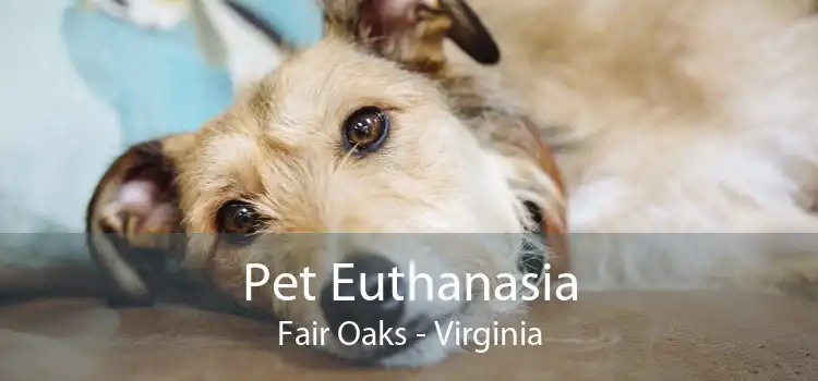 Pet Euthanasia Fair Oaks - Virginia