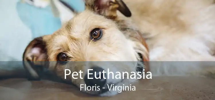 Pet Euthanasia Floris - Virginia