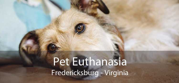 Pet Euthanasia Fredericksburg - Virginia