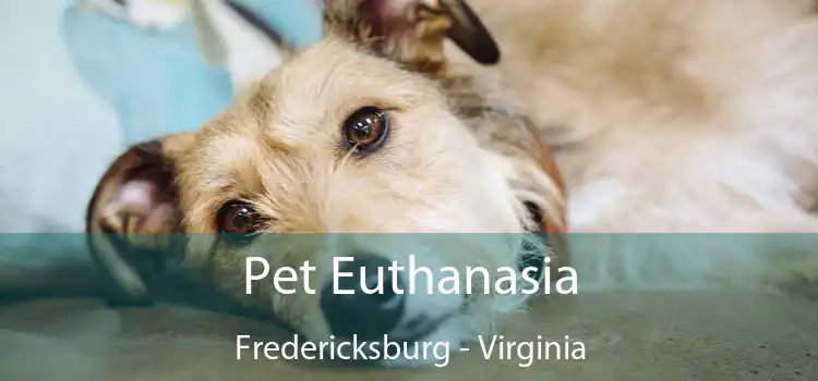 Pet Euthanasia Fredericksburg - Virginia