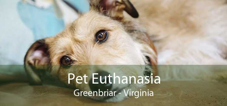Pet Euthanasia Greenbriar - Virginia