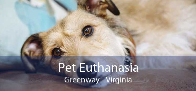 Pet Euthanasia Greenway - Virginia