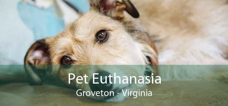Pet Euthanasia Groveton - Virginia