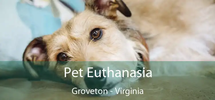 Pet Euthanasia Groveton - Virginia