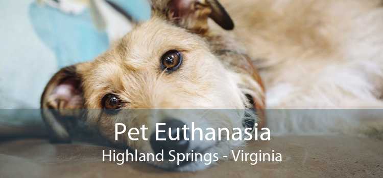 Pet Euthanasia Highland Springs - Virginia