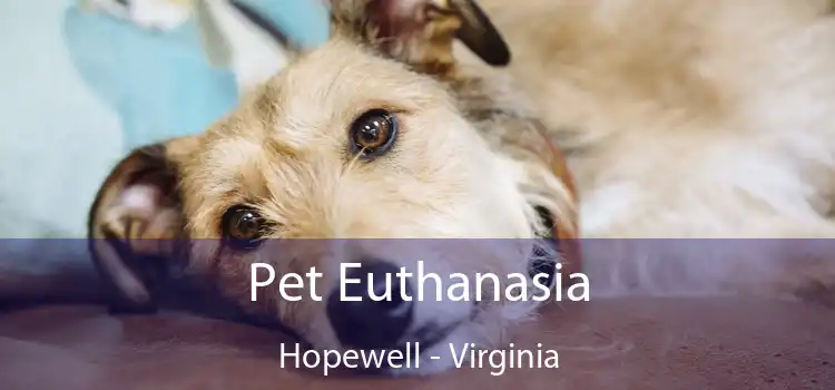 Pet Euthanasia Hopewell - Virginia