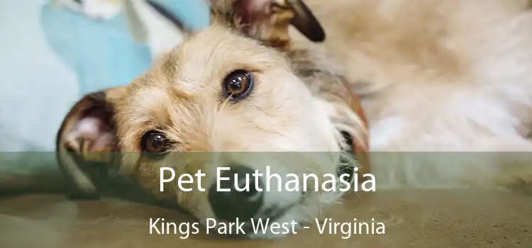 Pet Euthanasia Kings Park West - Virginia