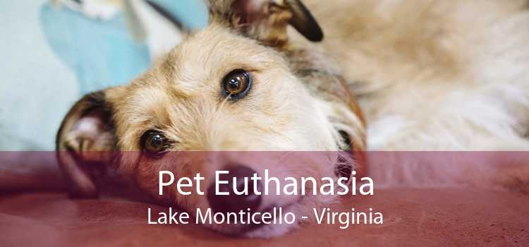 Pet Euthanasia Lake Monticello - Virginia
