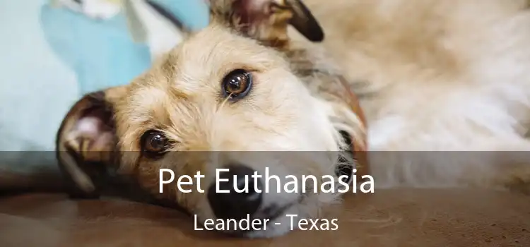 Pet Euthanasia Leander - Texas