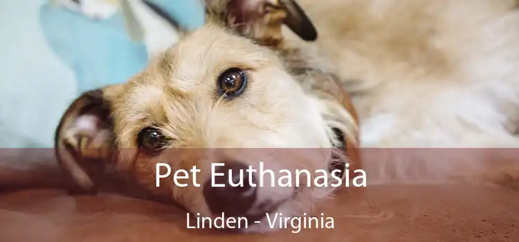 Pet Euthanasia Linden - Virginia