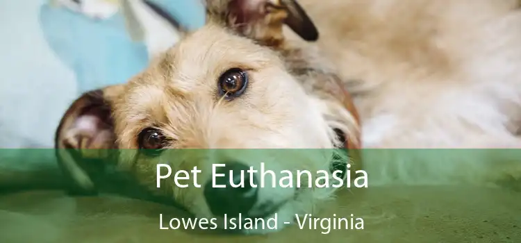 Pet Euthanasia Lowes Island - Virginia