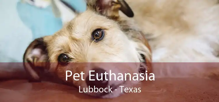 Pet Euthanasia Lubbock - Texas