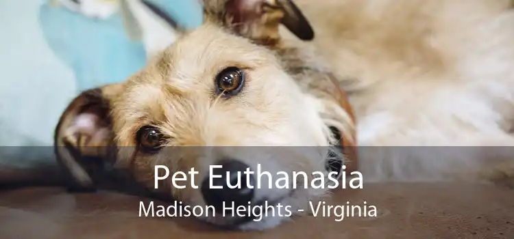 Pet Euthanasia Madison Heights - Virginia