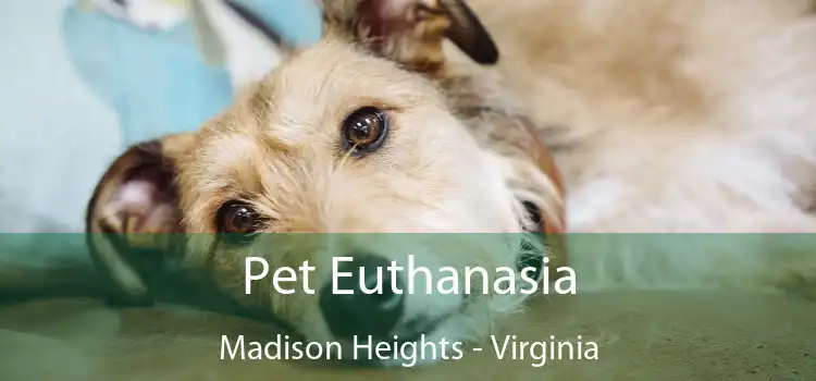 Pet Euthanasia Madison Heights - Virginia