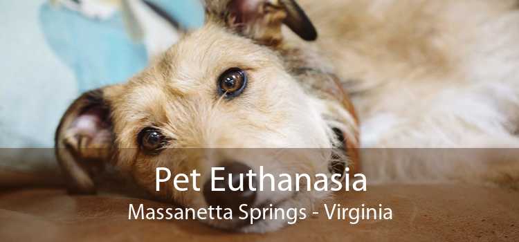 Pet Euthanasia Massanetta Springs - Virginia