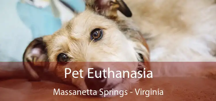 Pet Euthanasia Massanetta Springs - Virginia