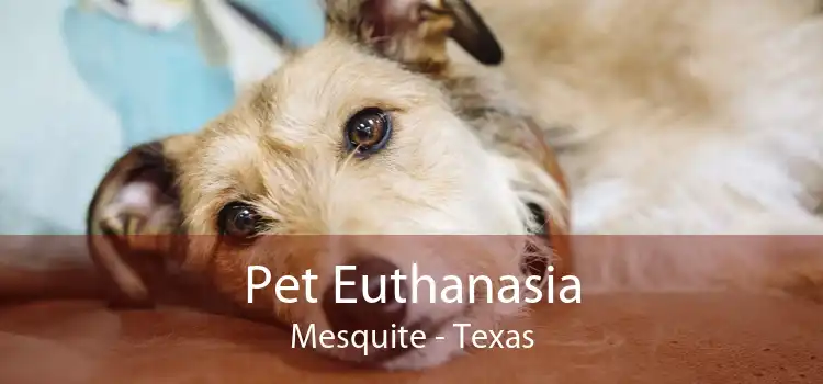 Pet Euthanasia Mesquite - Texas