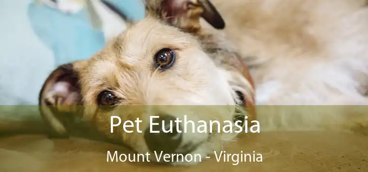 Pet Euthanasia Mount Vernon - Virginia