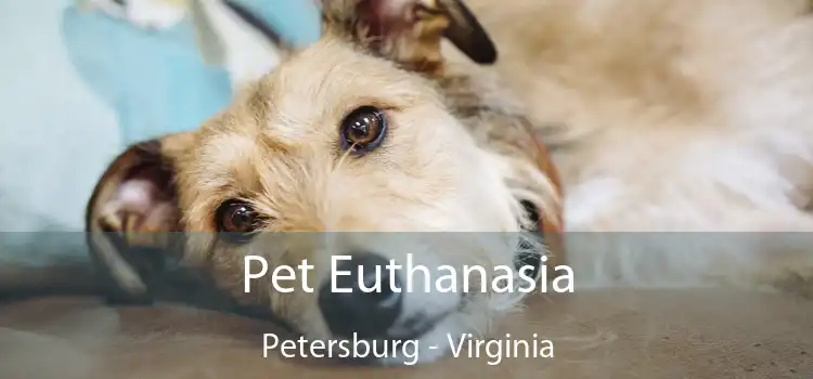 Pet Euthanasia Petersburg - Virginia