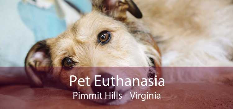 Pet Euthanasia Pimmit Hills - Virginia