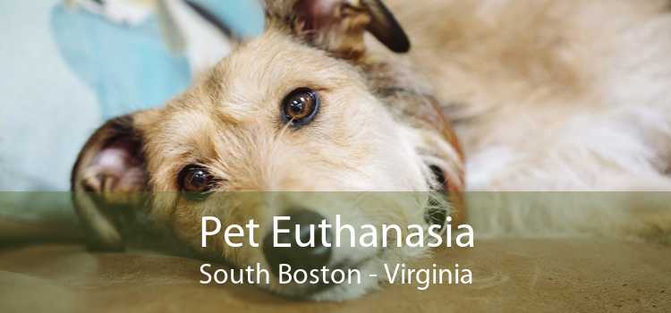 Pet Euthanasia South Boston - Virginia