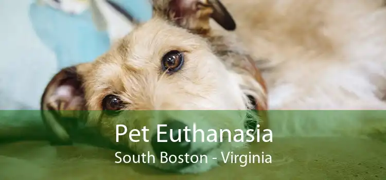 Pet Euthanasia South Boston - Virginia