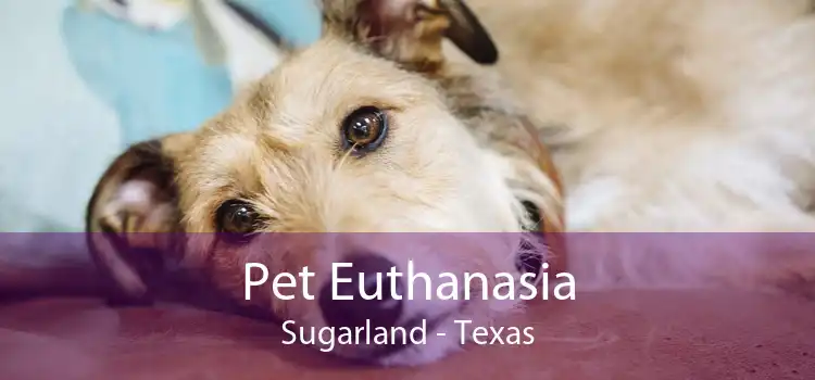 Pet Euthanasia Sugarland - Texas