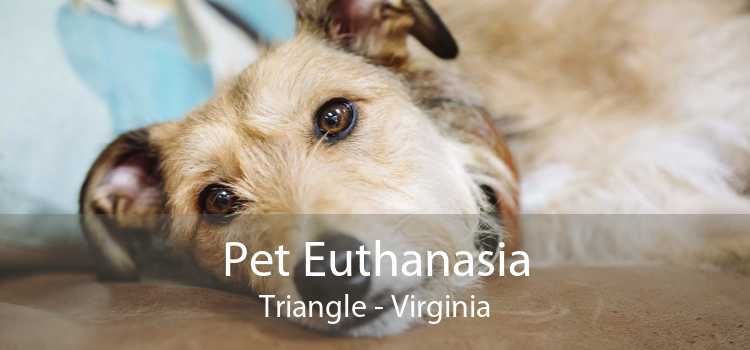 Pet Euthanasia Triangle - Virginia