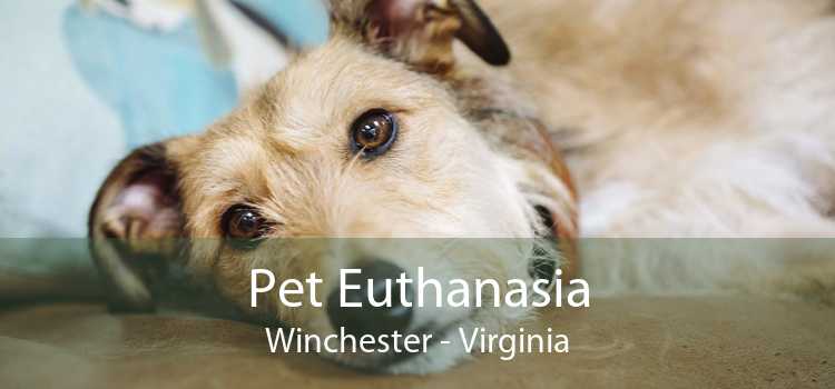 Pet Euthanasia Winchester - Virginia