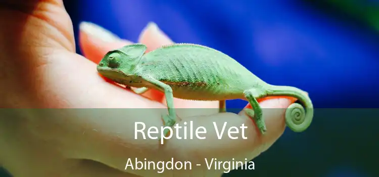 Reptile Vet Abingdon - Virginia