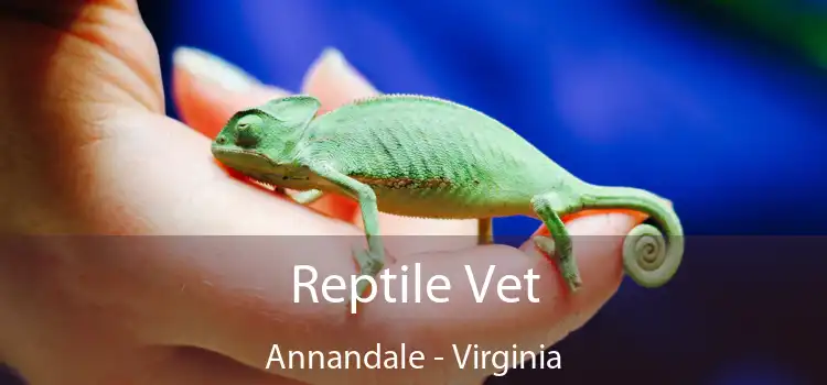 Reptile Vet Annandale - Virginia